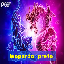 leopardo preto significado espiritual